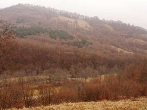 Foto Valea Bradu, vazuta de la pensiunea gurii vaii Hudeasa (c) Petru Goja